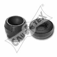 Cautex 460219 Strut bearing with bearing kit 460219: Buy near me in Poland at 2407.PL - Good price!