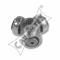 Cautex 460700 Drive Shaft Tripoid 460700: Buy near me in Poland at 2407.PL - Good price!