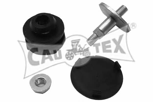 Cautex 461028 Cylinder Head Bolts Kit 461028: Buy near me in Poland at 2407.PL - Good price!
