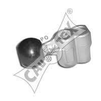 Cautex 461058 Gear shift rod 461058: Buy near me in Poland at 2407.PL - Good price!