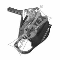 Cautex 461118 Timing Belt Cover 461118: Buy near me in Poland at 2407.PL - Good price!