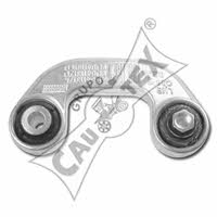 Cautex 461166 Стійка стабілізатора 461166: Приваблива ціна - Купити у Польщі на 2407.PL!