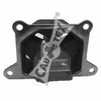 Cautex 480313 Engine mount, front right 480313: Buy near me in Poland at 2407.PL - Good price!