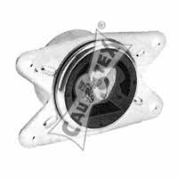 Cautex 480484 Engine mount left 480484: Buy near me at 2407.PL in Poland at an Affordable price!