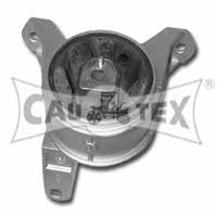 Cautex 480491 Engine mount right 480491: Buy near me in Poland at 2407.PL - Good price!