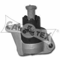 Cautex 480502 Engine mount, rear 480502: Buy near me in Poland at 2407.PL - Good price!