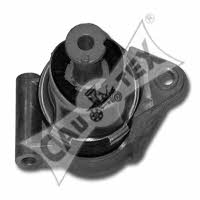 Cautex 480503 Engine mount, rear 480503: Buy near me in Poland at 2407.PL - Good price!