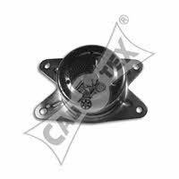 Cautex 480571 Engine mount left 480571: Buy near me in Poland at 2407.PL - Good price!