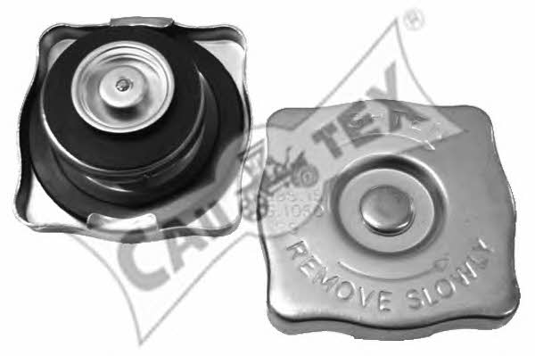 Cautex 954073 Expansion tank 954073: Buy near me in Poland at 2407.PL - Good price!