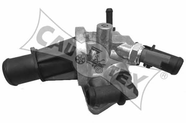 Cautex 955399 Thermostat housing 955399: Buy near me in Poland at 2407.PL - Good price!