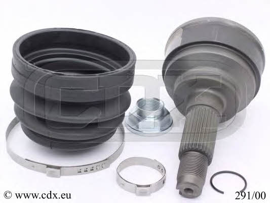 CDX 291/00 CV joint 29100: Buy near me in Poland at 2407.PL - Good price!