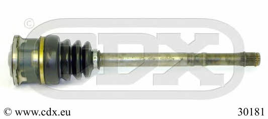 CDX 30181 CV joint 30181: Buy near me in Poland at 2407.PL - Good price!