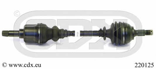 CDX 220125 Drive shaft 220125: Buy near me at 2407.PL in Poland at an Affordable price!