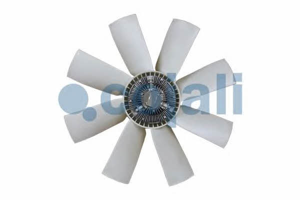 Hub, engine cooling fan wheel Cojali 7085107
