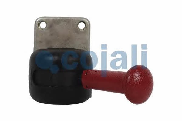 Cojali 2224415 Hand brake valve 2224415: Buy near me in Poland at 2407.PL - Good price!