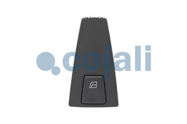 Buy Cojali 2260156 at a low price in Poland!