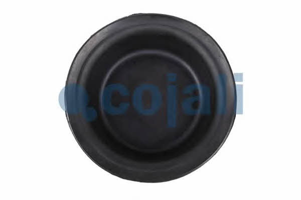 Cojali 6001109 Мембрана, цилиндр пружинного энерго-аккумулятора 6001109: Отличная цена - Купить в Польше на 2407.PL!