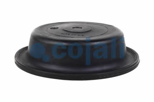 Cojali Membrane, spring-loaded cylinder – price