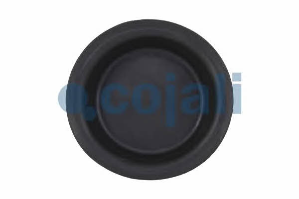 Cojali 6001117 Membrane, spring-loaded cylinder 6001117: Buy near me at 2407.PL in Poland at an Affordable price!
