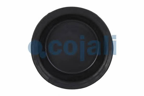 Cojali 6001122 Membrane, spring-loaded cylinder 6001122: Buy near me in Poland at 2407.PL - Good price!