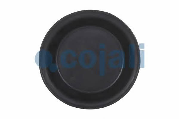 Cojali 6001124 Membrane, spring-loaded cylinder 6001124: Buy near me at 2407.PL in Poland at an Affordable price!