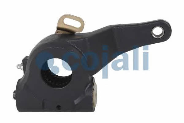 Kaufen Sie Cojali 4232106 zum guten Preis bei 2407.PL!