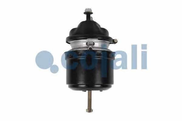 Kup Cojali 2251536 – super cena na 2407.PL!
