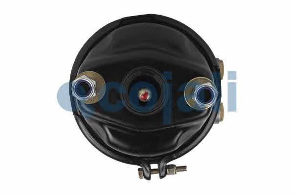 Kup Cojali 2251536 w niskiej cenie w Polsce!