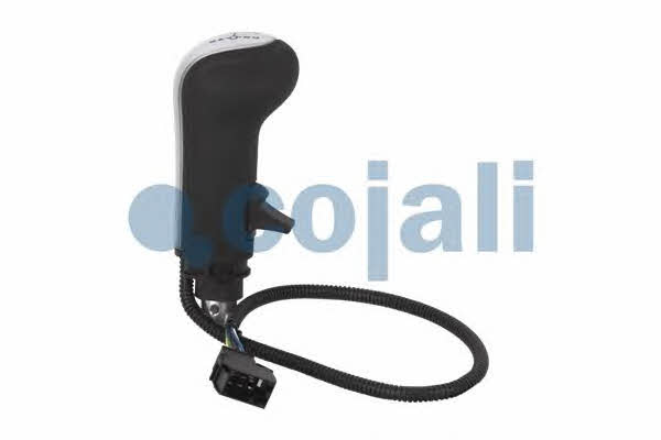 Cojali Gear knob – price