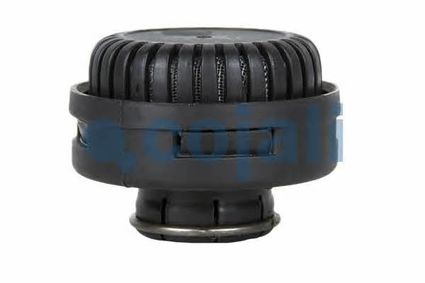 Cojali 2203102 Fitting for bleeding the brake system 2203102: Buy near me in Poland at 2407.PL - Good price!