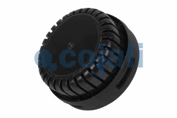 Cojali 2203103 Fitting for bleeding the brake system 2203103: Buy near me in Poland at 2407.PL - Good price!