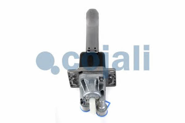 Cojali 2324405 Hand brake valve 2324405: Buy near me at 2407.PL in Poland at an Affordable price!