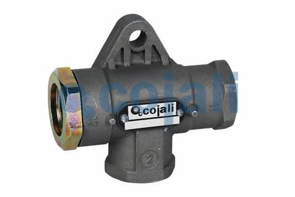 Cojali 2207114 Multi-position valve 2207114: Buy near me in Poland at 2407.PL - Good price!