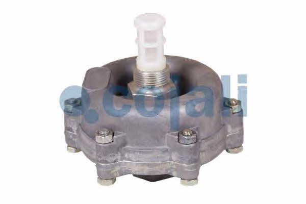 Cojali 2208401 Condensate drain valve 2208401: Buy near me in Poland at 2407.PL - Good price!