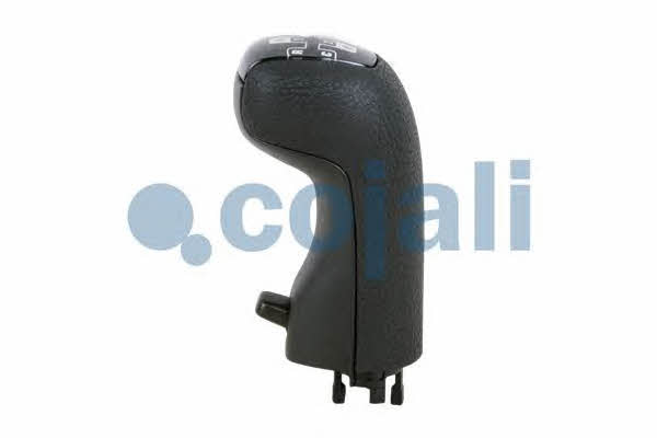Cojali 2880132 Gear knob 2880132: Buy near me at 2407.PL in Poland at an Affordable price!