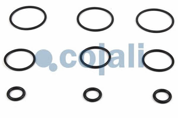 Cojali 6012211 Repair kit for pressure relief valve 6012211: Buy near me in Poland at 2407.PL - Good price!