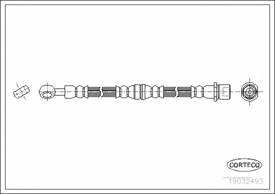 Corteco 19032493 Brake Hose 19032493: Buy near me at 2407.PL in Poland at an Affordable price!