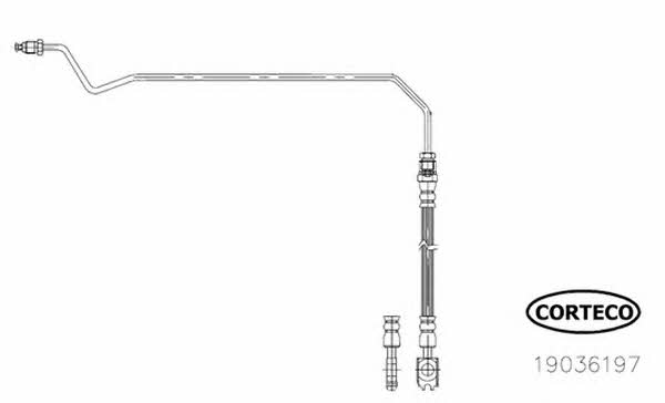 Corteco 19036197 Brake Hose 19036197: Buy near me in Poland at 2407.PL - Good price!