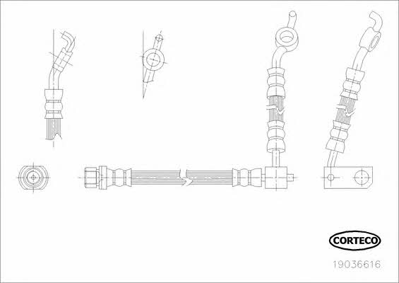 Corteco 19036616 Przewód hamulcowy elastyczny 19036616: Dobra cena w Polsce na 2407.PL - Kup Teraz!