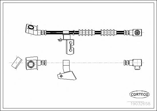 Corteco 19032658 Brake Hose 19032658: Buy near me in Poland at 2407.PL - Good price!