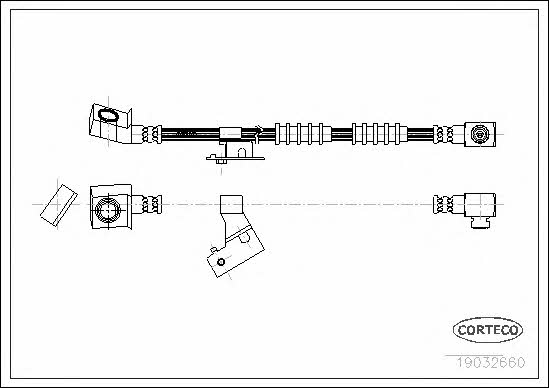 Corteco 19032660 Brake Hose 19032660: Buy near me in Poland at 2407.PL - Good price!