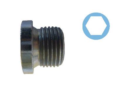  220158S Sump plug 220158S: Buy near me in Poland at 2407.PL - Good price!