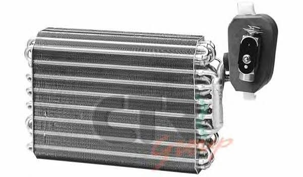 CTR 1225100 Air conditioner evaporator 1225100: Buy near me in Poland at 2407.PL - Good price!