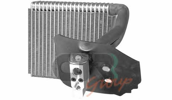 CTR 1225107 Air conditioner evaporator 1225107: Buy near me in Poland at 2407.PL - Good price!