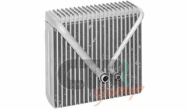 CTR 1225040 Air conditioner evaporator 1225040: Buy near me in Poland at 2407.PL - Good price!
