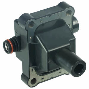 Delphi CE20038-12B1 Ignition coil CE2003812B1: Buy near me in Poland at 2407.PL - Good price!