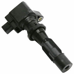 Delphi GN10251-12B1 Ignition coil GN1025112B1: Buy near me in Poland at 2407.PL - Good price!