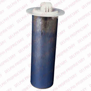 Delphi FE0507-12B1 Fuel Pump FE050712B1: Buy near me at 2407.PL in Poland at an Affordable price!