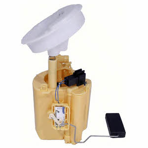 Delphi FG1013-12B1 Fuel pump FG101312B1: Buy near me in Poland at 2407.PL - Good price!