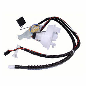 Delphi FT10012-12B1 Fuel pump FT1001212B1: Buy near me in Poland at 2407.PL - Good price!